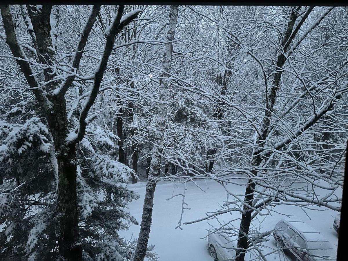 Vermont Getaway! Newly Renovated! Stratton Valley Luaran gambar